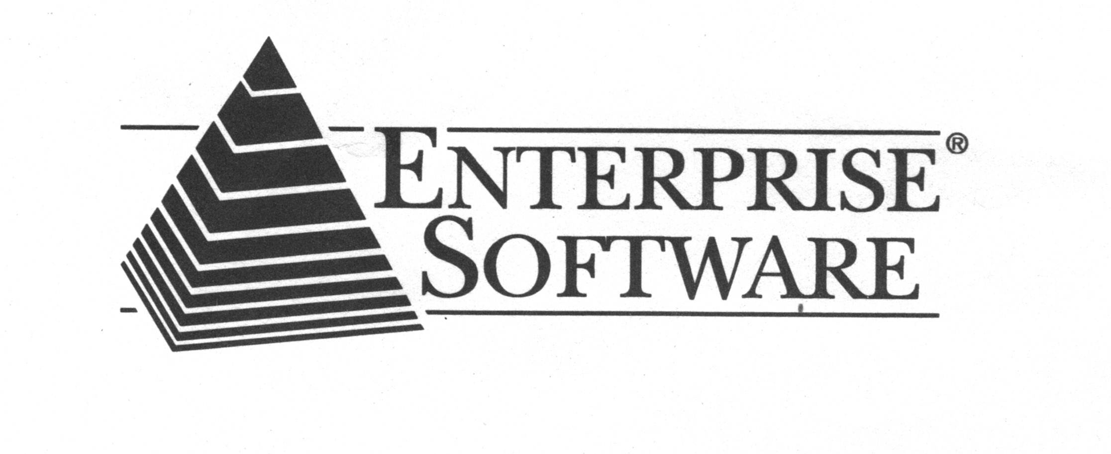 Enterprise Software Logo